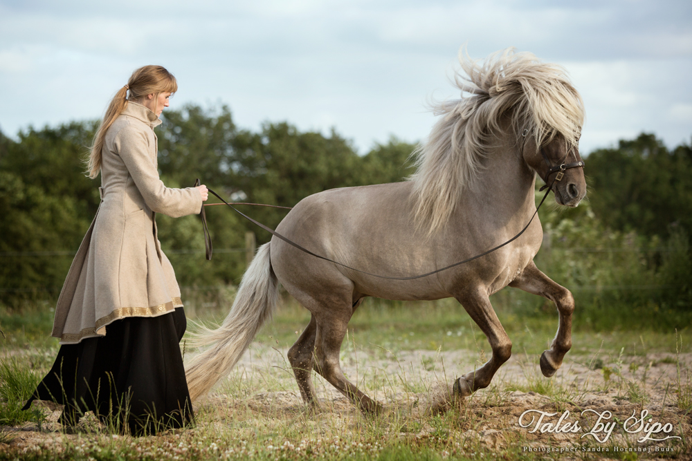 Copyright Sandra Hornshøj Buus