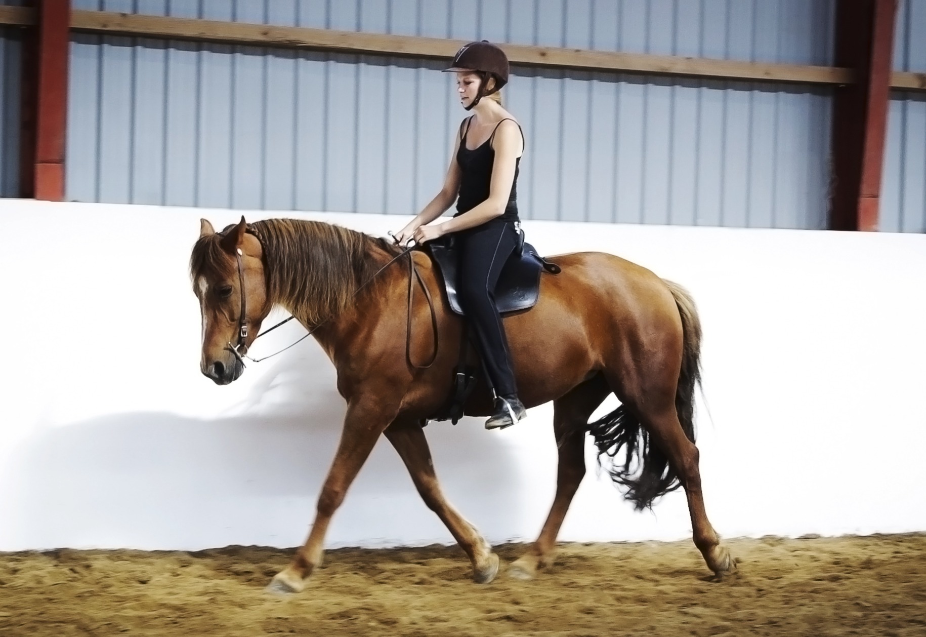 Copyright Maja Caspersen